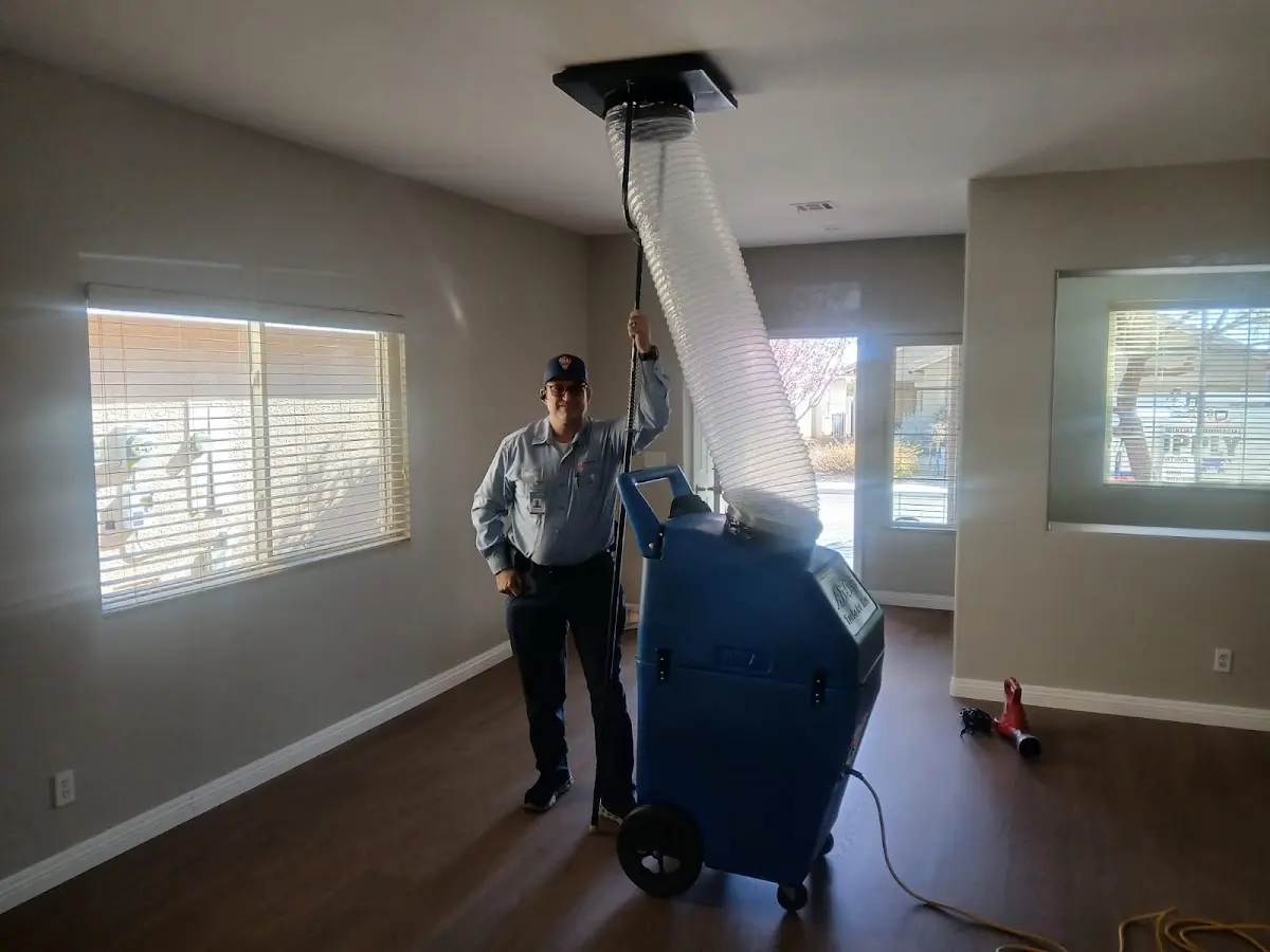 Professional Dryer Vent Cleaning work inside a Brewton home